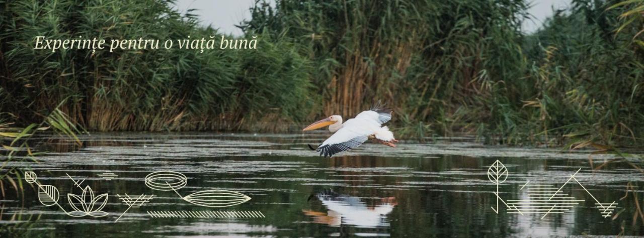 Pensiunea Nest Dunavăţu de Jos Dış mekan fotoğraf