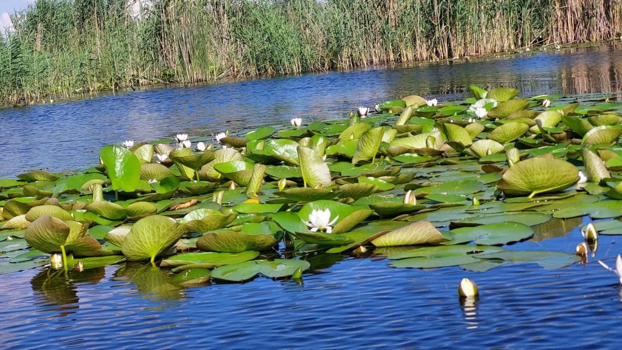 Pensiunea Nest Dunavăţu de Jos Dış mekan fotoğraf