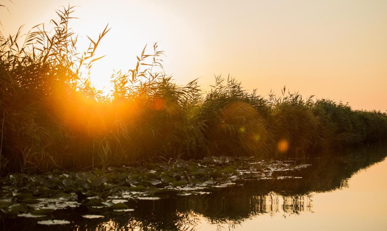 Pensiunea Nest Dunavăţu de Jos Dış mekan fotoğraf