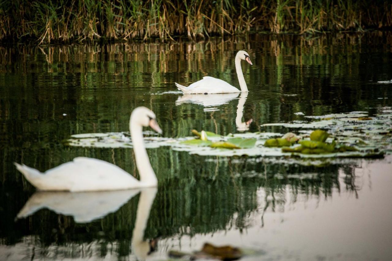Pensiunea Nest Dunavăţu de Jos Dış mekan fotoğraf